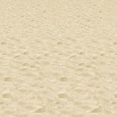 Sandy Beach Room Roll