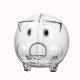 Clear Plastic Piggy Bank
