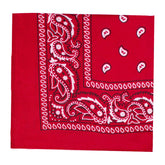 Red 21" Paisley Bandanas