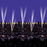 Hollywood Skyline Room Roll