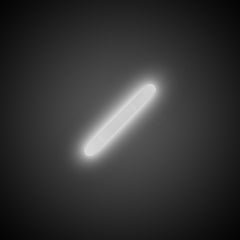 White Mini Glow Sticks