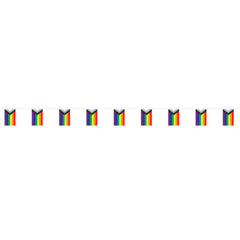 Progress Pride Flags Pennant Banner