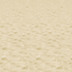 Sandy Beach Room Roll