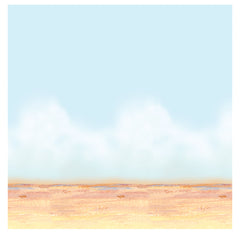 Desert Sky Room Roll