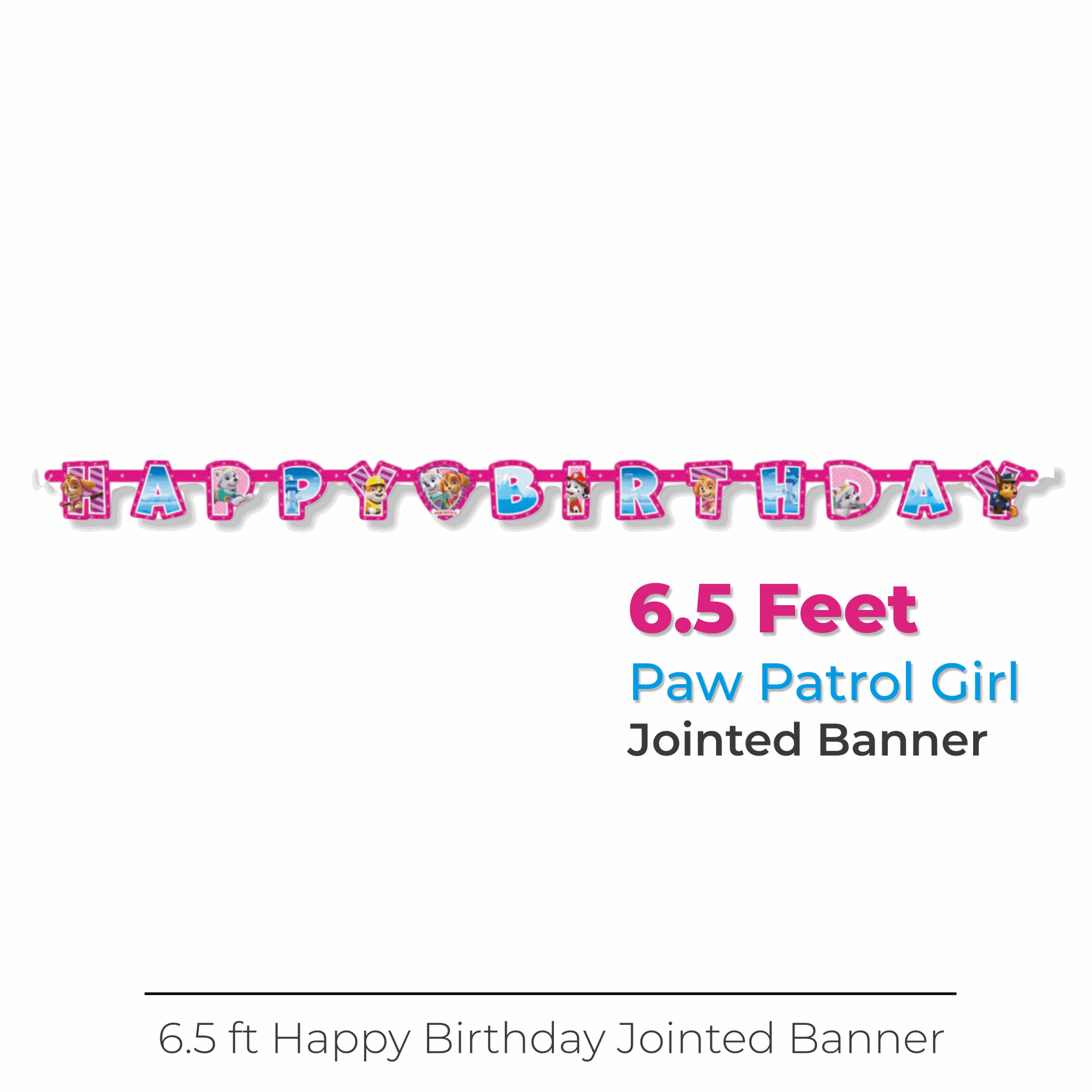 Paw Patrol Girl Large Jointed Banner – Windy City Novelties