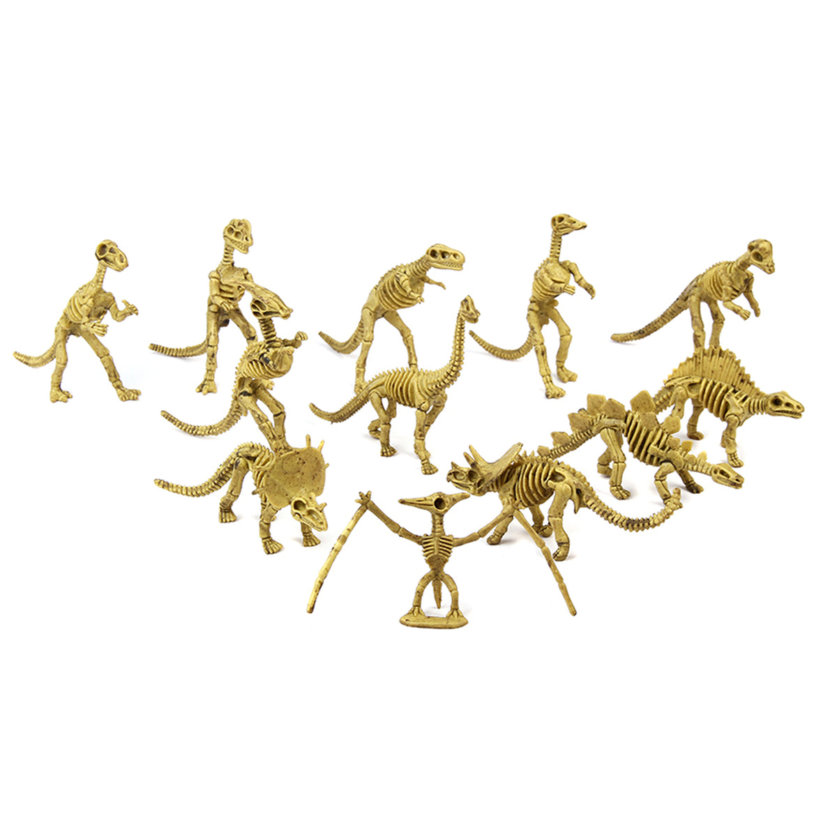 Dinosaur Fossil Skeletons