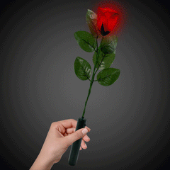 LED Multi-Color Roses
