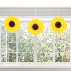 Jumbo Sunflower