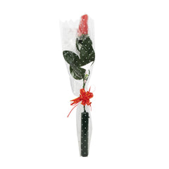 LED Red Roses Retail Display