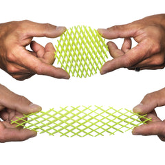Fidget Worm Toy