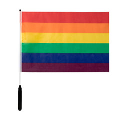 LED Rainbow Pride 12"x18" Flag