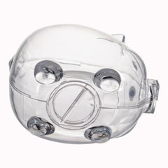 Clear Plastic Piggy Bank