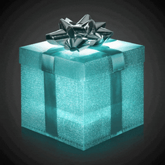 LED Gift Box
