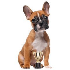 Gold Cup Trophies
