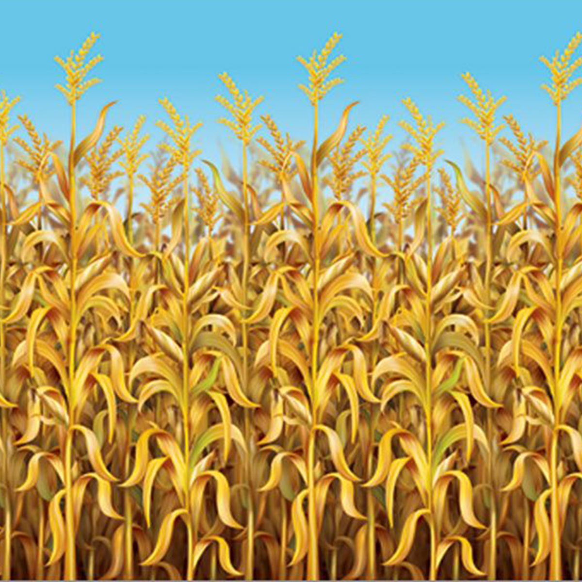 Cornstalks Room Roll