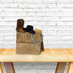 3D Western Centerpiece