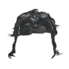 Rock Star Wig