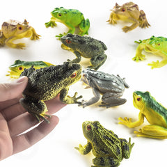 Frog Toy Figures