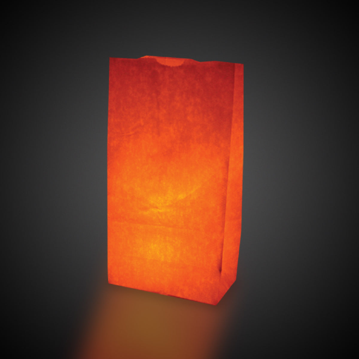 White Luminary Bags