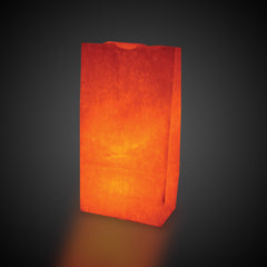 White Luminary Bags