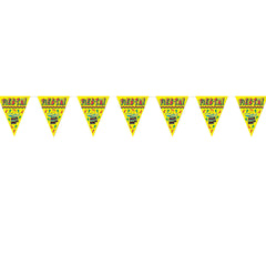 Fiesta 12' Pennant Banner