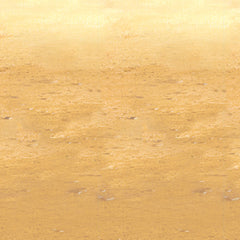 Desert Sand Room Roll