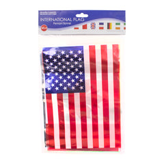 International Flags Banner