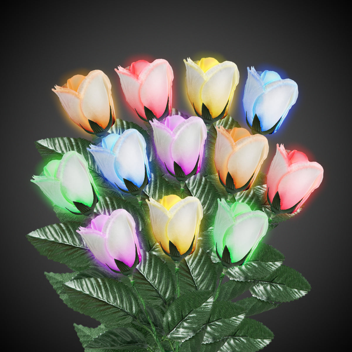 LED White Roses with Multi-Color LEDs