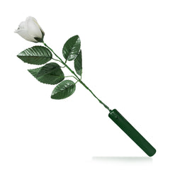 LED White Roses with Multi-Color LEDs