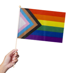Progress Pride Rainbow 12" x 18" Flags